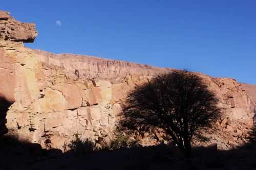 TREKKING NEL DESERTO DI ATACAMA 2015